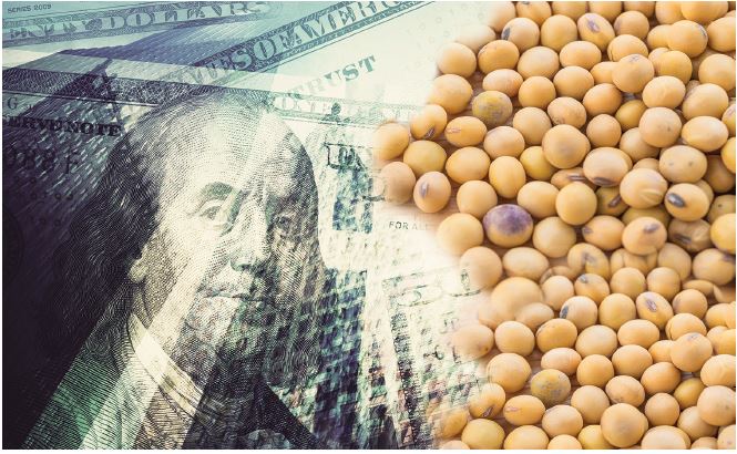 La soja vuela en Chicago, pero el riesgo país es el más alto en un mes